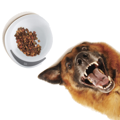 Gezondheid Gezondheid