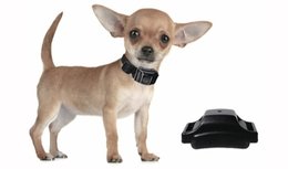 Anti blafband OHS13 allerkleinste model met trillen en ultrasoon voor kleinste hond Anti blafband OHS13 allerkleinste model met trillen en ultrasoon voor kleinste hond