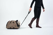 Rolplatform voor Jetset Serie