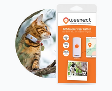 Weenect GPS Tracker Kat (Black Editon 2023) 4G/2G